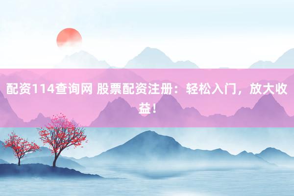 配资114查询网 股票配资注册：轻松入门，放大收益！