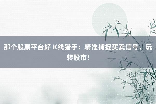 那个股票平台好 K线猎手：精准捕捉买卖信号，玩转股市！