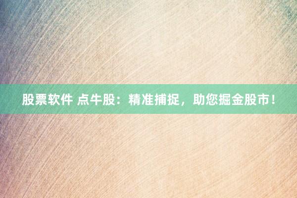 股票软件 点牛股：精准捕捉，助您掘金股市！