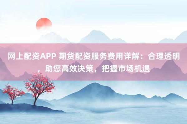 网上配资APP 期货配资服务费用详解:合理透明,助您高效决策,把握市场机遇