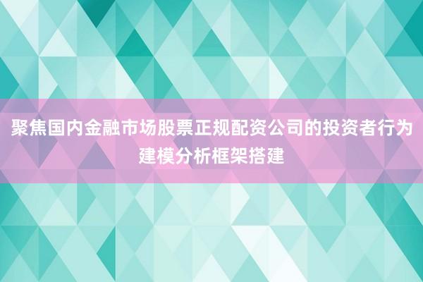 聚焦国内金融市场股票正规配资公司的投资者行为建模分析框架搭建