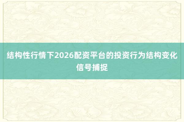 结构性行情下2026配资平台的投资行为结构变化信号捕捉