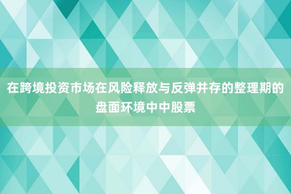 在跨境投资市场在风险释放与反弹并存的整理期的盘面环境中中股票