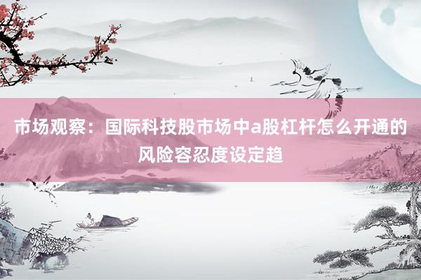 市场观察：国际科技股市场中a股杠杆怎么开通的风险容忍度设定趋