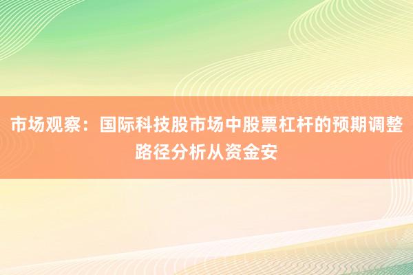 市场观察：国际科技股市场中股票杠杆的预期调整路径分析从资金安