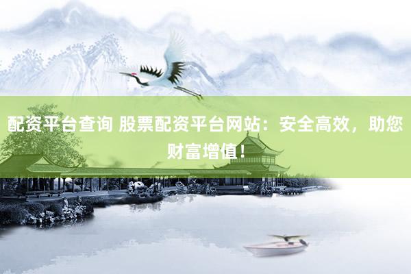 配资平台查询 股票配资平台网站：安全高效，助您财富增值！